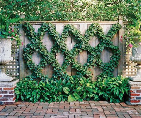 Grow Some Privacy Keep Privacy In Mind As You Design Your Small Space