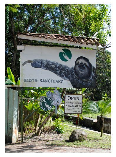 Sloth Sanctuary Of Costa Rica Costa Rica Vacation Sloth Costa Rica