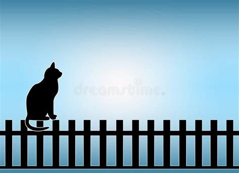 Cat On Fence Stock Photo Image 5943570