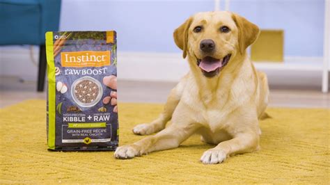Consider starting with one of the best raw dog food! Instinct Raw Boost Dog Food | Chewy - YouTube