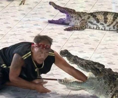 Trainer Puts His Arm In Crocodiles Jaw And Instantly Regrets It