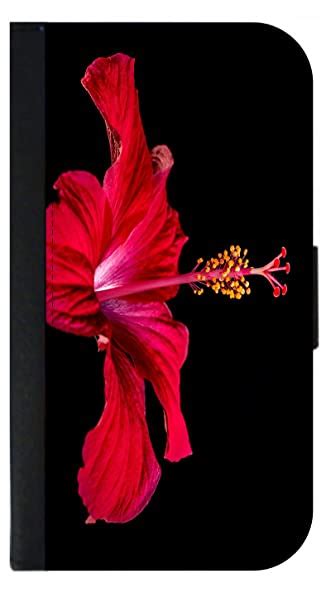 Hibiscus Flower Wallpaper Hd For Mobile Best Flower Site