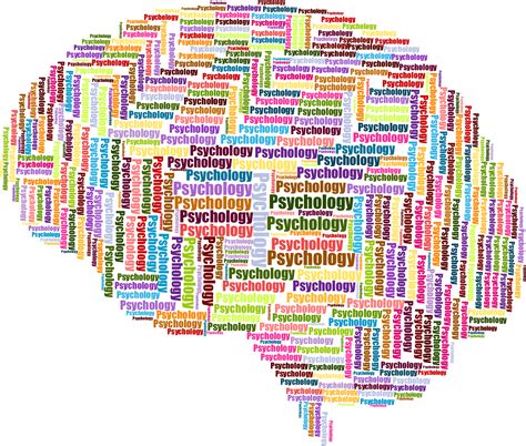 Download Psychology Wordcloud Big Image Png Psychology Clipart Png