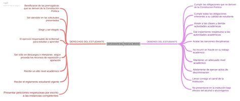 Portafolio Alejandro Araque I U Pascual Bravo Mapa Mental Mis Derechos Y Deberes