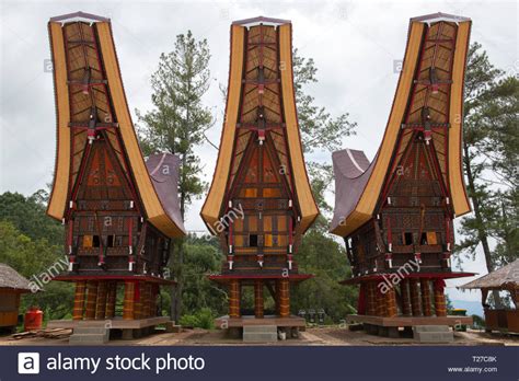 Tongkonan Houses Traditional Torajan Buildings Tana Toraja Is The