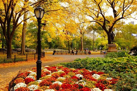 Colours Of Central Park Nyc Source Picture This City Landscapes