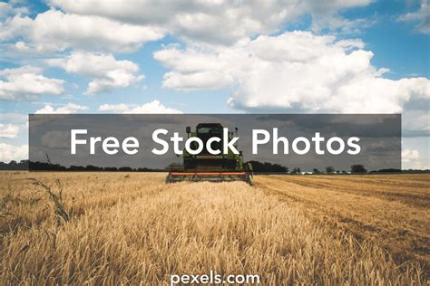1000 Engaging Agriculture Photos · Pexels · Free Stock Photos