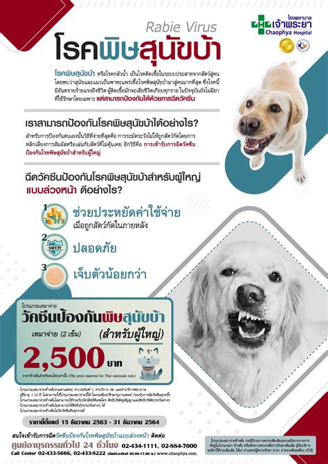 วัคซีนป้องกันมะเร็งปากมดลูกที่ใช้ในประเทศไทยมี 2 ชนิด ได้แก่ วัคซีนเอชพีวีชนิด 4 สายพันธุ์ ฉีดเข้ากล้าม 1 เข็มเดือนที่ 0, 2, 6. รพ.เจ้าพระยาฉีดวัคซีนป้องกันพิษสุนัขบ้า