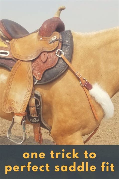 A Well Fitted Saddle Means Your Horse Will Feel And Compete Better