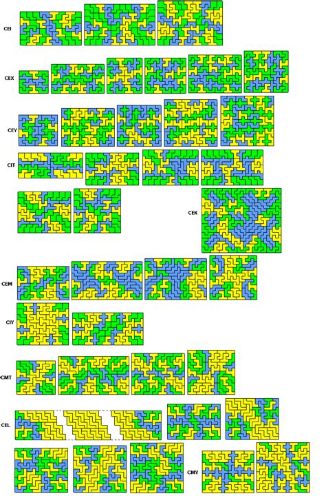 Pairs Of Hexominoes In Rectangles