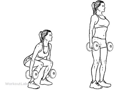 Dumbbell Squat Illustrated Exercise Guide Workoutlabs