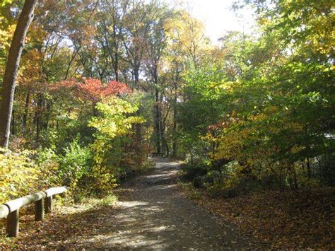 Bridle Path Forest Park Queens Nyc Forest Park New York State Photo