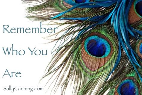 When we're feeling great about ourselves, we too want to show it off. Have to love a bit of peacock style | Sally Canning