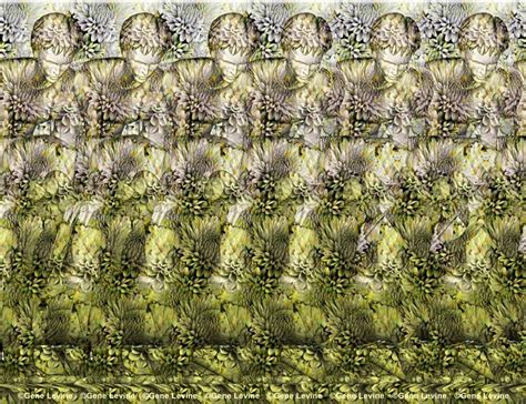 Leapfrog Stereogram By Gene Levine An Optical Illusion