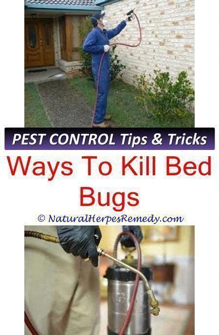 Pest Control For Fleas Near Me Pest Control