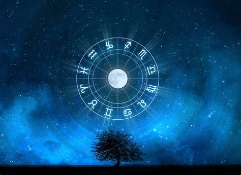 Hd Wallpaper Signs Of The Zodiac In The Starry Sky Tree Night