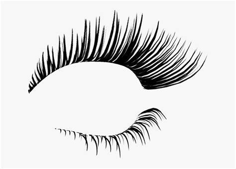 Cartoon Eyelashes Clipart 10 Free Cliparts Download Images On