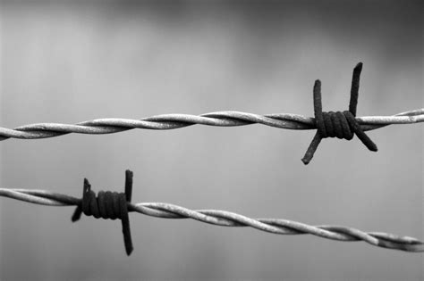 Barbed wire's history entangled in war - Farm and Dairy