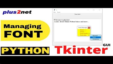 Tkinter Font Size Mastering Visual Design