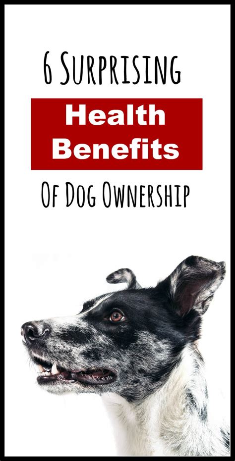 6 Surprising Health Benefits Of Owning A Dog Pbs Pet Travel