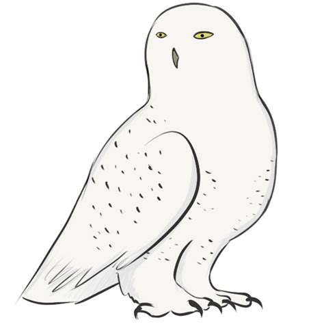 How To Draw A Snowy Owl Easy Drawing Art