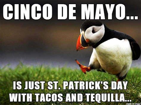 Cinco De Mayo Funny 002000qugo Funny Cinco Mayo Drinking Quotes