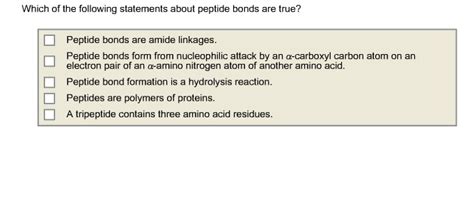 Whether you are looking for essay, coursework, research, or term paper help, or help with any other assignments, someone is always available to help. Which Of The Following Statements About Peptide ...