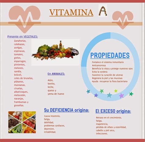 Cuaderno De Salud Y Dietética Infografía Vitamina A Beneficios En