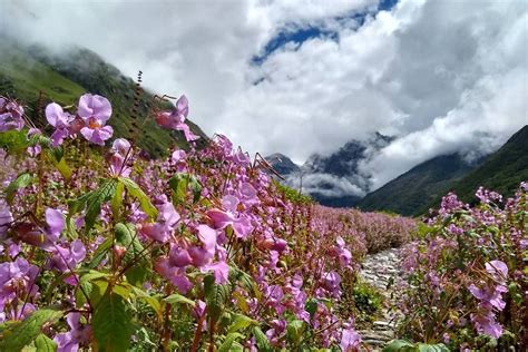 Valley Of Flowers Trek And Hemkund Sahib Itinerary