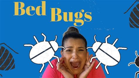 Bed Bugs Youtube