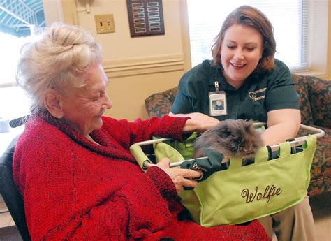 Wolfie Is First Huntsville Therapy Partners Bunny