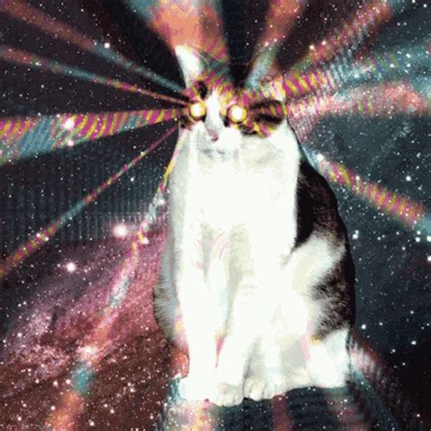 Funny Space Cat Headphones GIF GIFDB Com