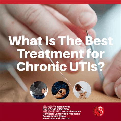 Best Treatment for Chronic UTI - Best Acupuncture Hamilton NZ