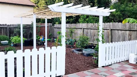 How We Diy Passion Fruit Frederick Trellis In Just 3 Hours