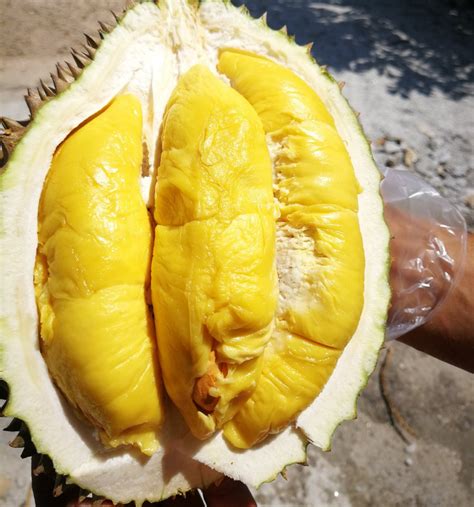 Penang penang is awesome, but crossing the street in georgetown can be a bit intimidating. 9 Spots In Penang That Deliver Durian Right To Your ...