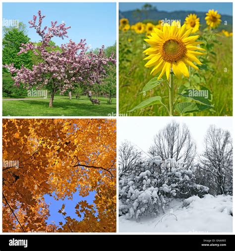 4 Seasons Collage Hi Res Stock Photography And Images Alamy