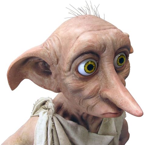 Pin Auf Dobby