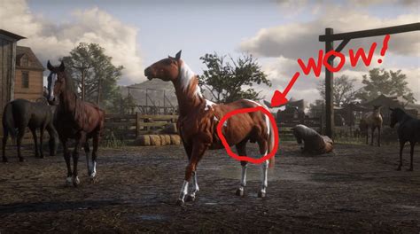 Red Dead Redemption 2 Goes Balls In On Realistic Horse Models Push Square