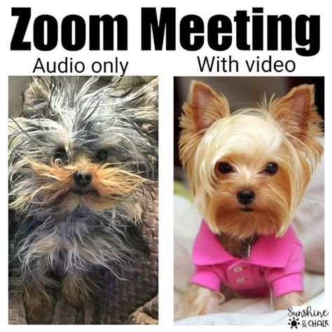 30 best meeting memes for 2020. Best Working From Home Memes We Can All Relate to Right Now