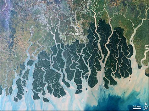 The Largest Delta In The World Is