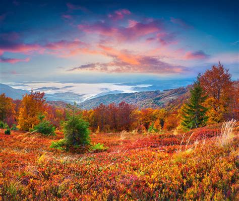 Colorful Autumn Sunrise Carpathian Mountains Stock Photos Download