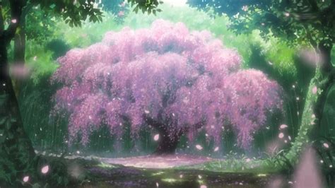 41 Anime Cherry Blossom Wallpaper