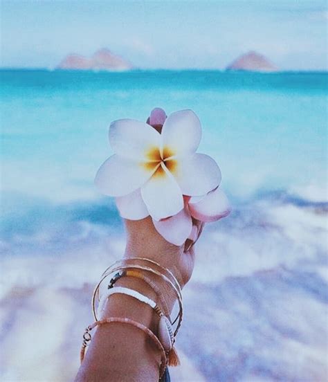 Summer Aesthetic Edited And Beach Aesthetic Image 7088516 On