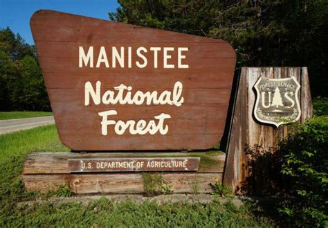 Coopersville Womans Body Found In Huron Manistee National Forest Foul Play Is Not Suspected Wgvu