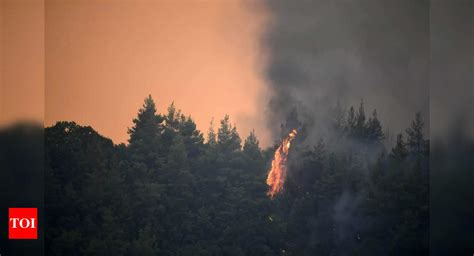 Unprecedented Massive Forest Fire Ravages Greek Island Times Of India