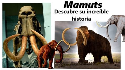 La increíble historia de los mamuts YouTube