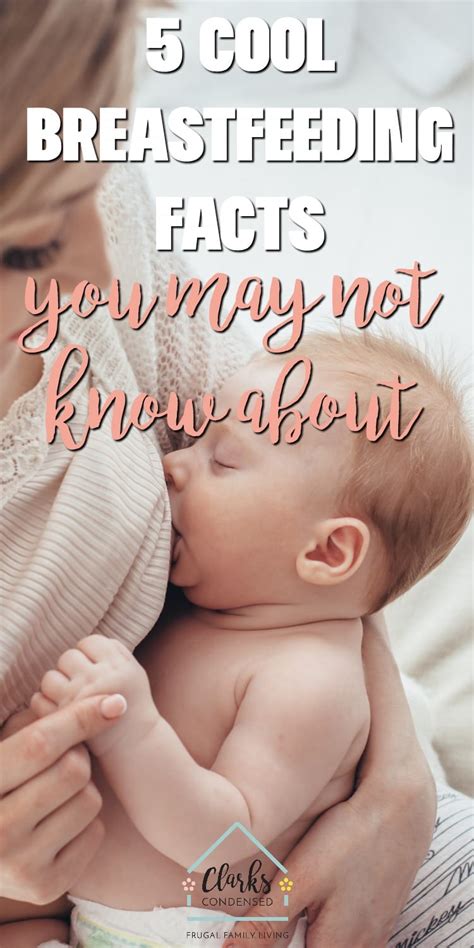 5 Cool Breastfeeding Facts You May Not Know About 2024 The Breastfeeding Mama