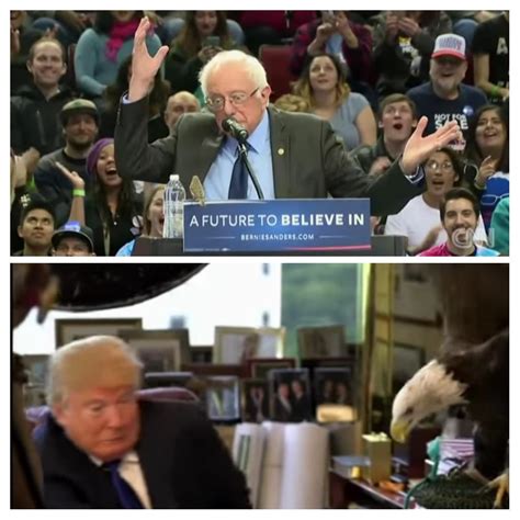 Trump Was Attacked By Our National Bird The Bald Eagle While Sanders