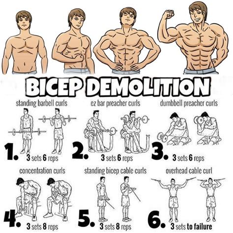 Pin By Gym Training Mopower On Gym Training Big Biceps Workout Biceps Workout Bicep Workout Gym