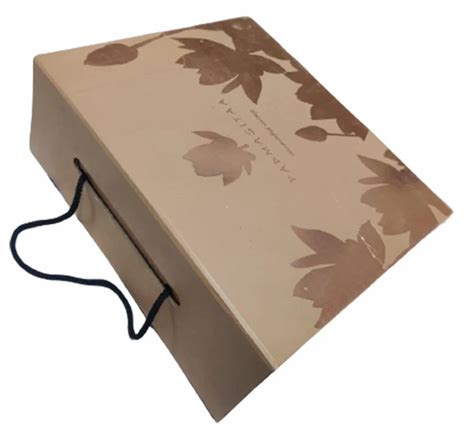 Brown Paper Carry Bag For Shopping 3 Kg At Rs 196 In Mumbai ID